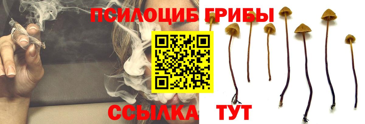 Галлюциногенные грибы мицелий Кировск