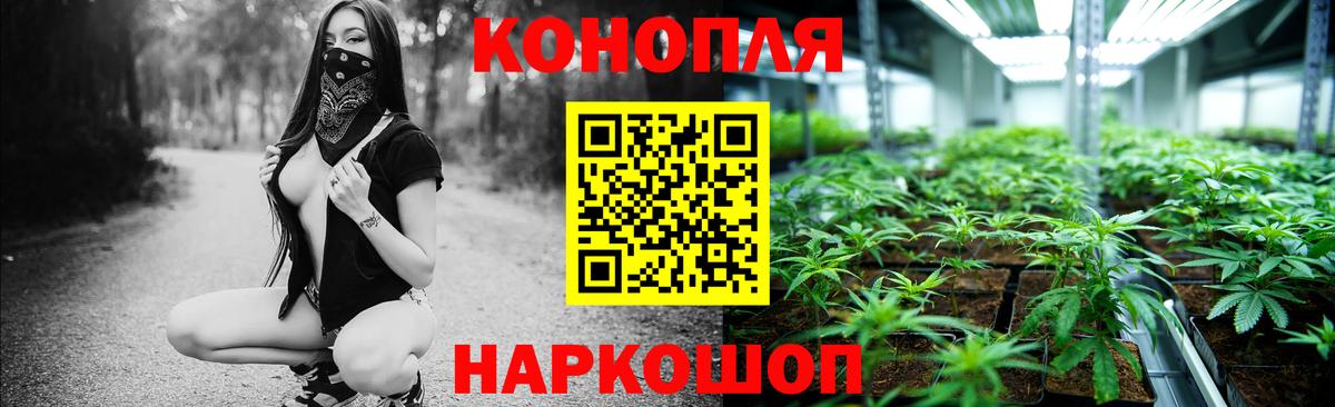 Шишки марихуана Amnesia Кировск
